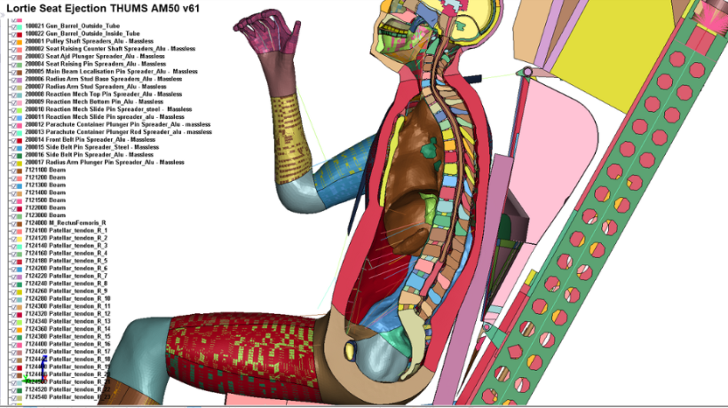 Biofidelic THUMS FEM used in ejection analysis 
