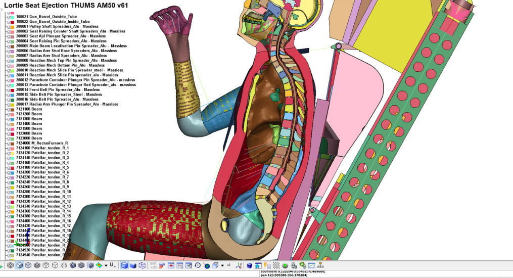 Cross-section of a biofidelic numerical model showing the pilot’s internal organs